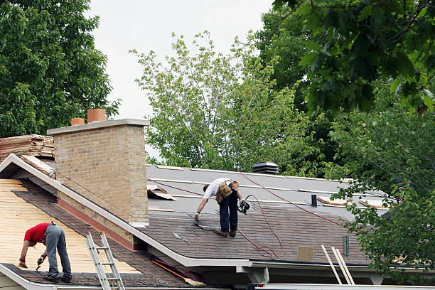 Best Roof Gutter Cleaning  in Saegertown, PA